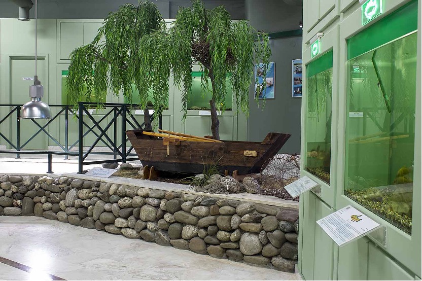 Acquario di Kastoria