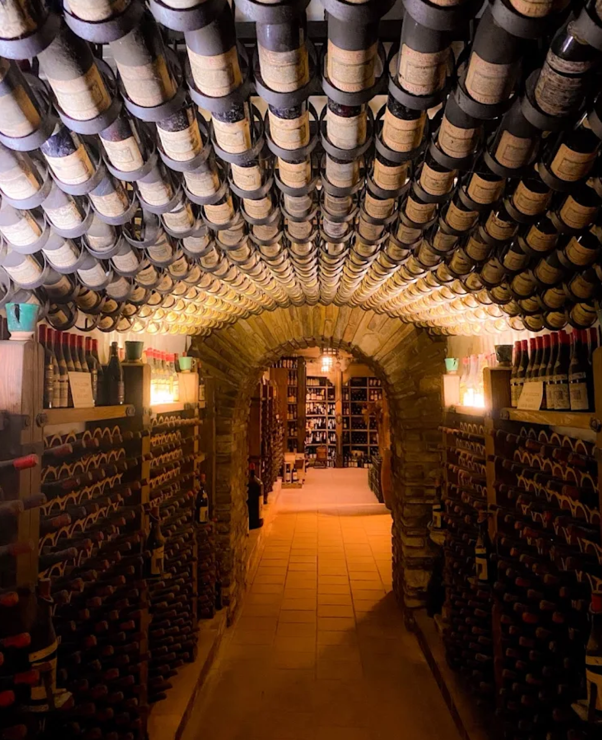 Azienda Fattoria Paradiso