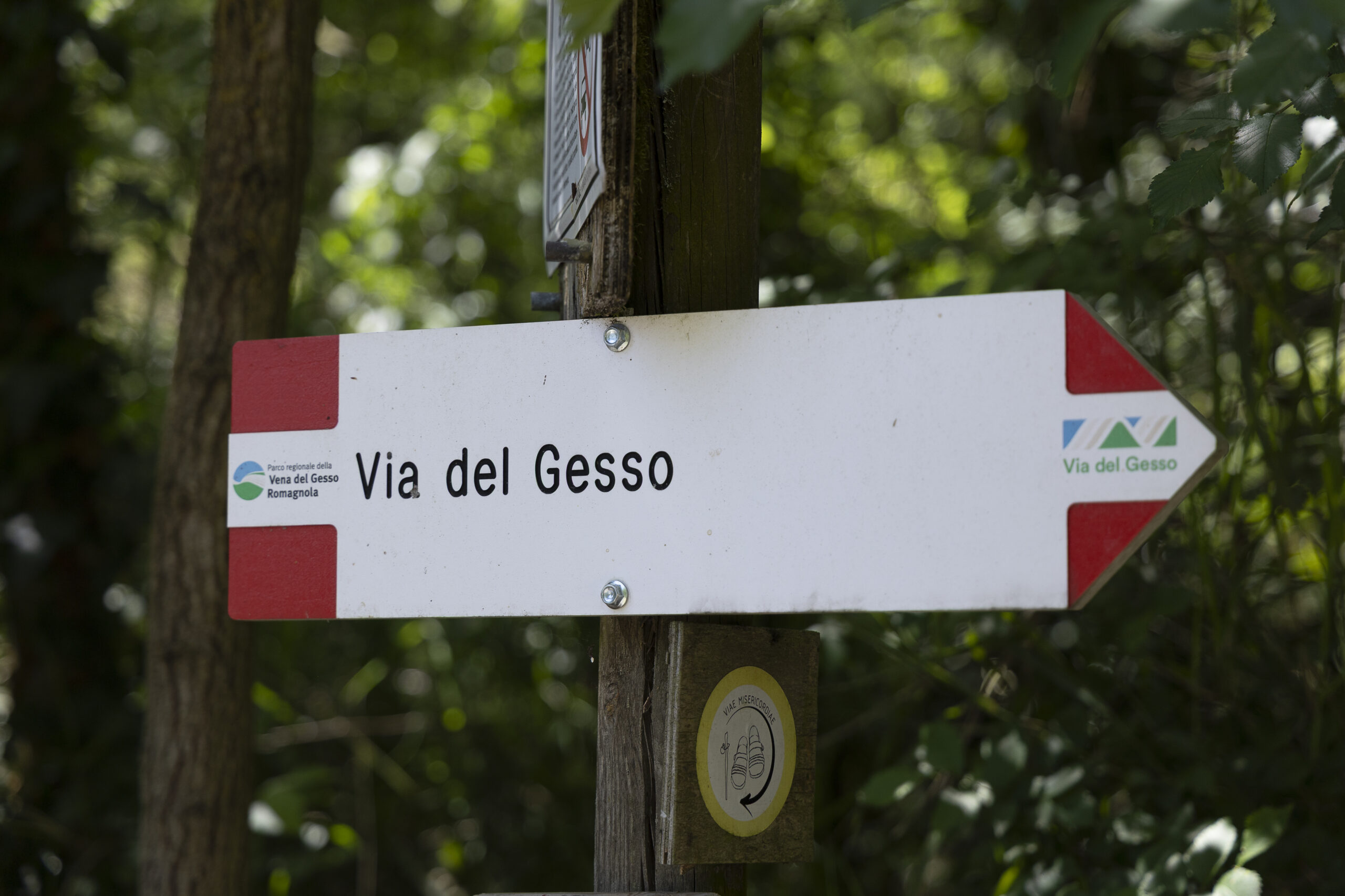 Gessi wild trail – da Brisighella a Borgo Tossignano
