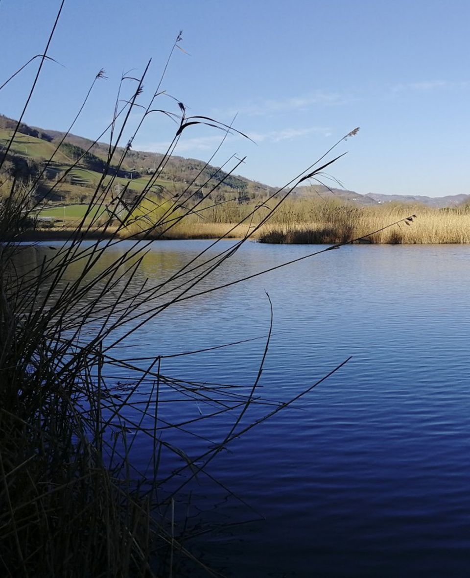 Il Cammino di San Vicinio