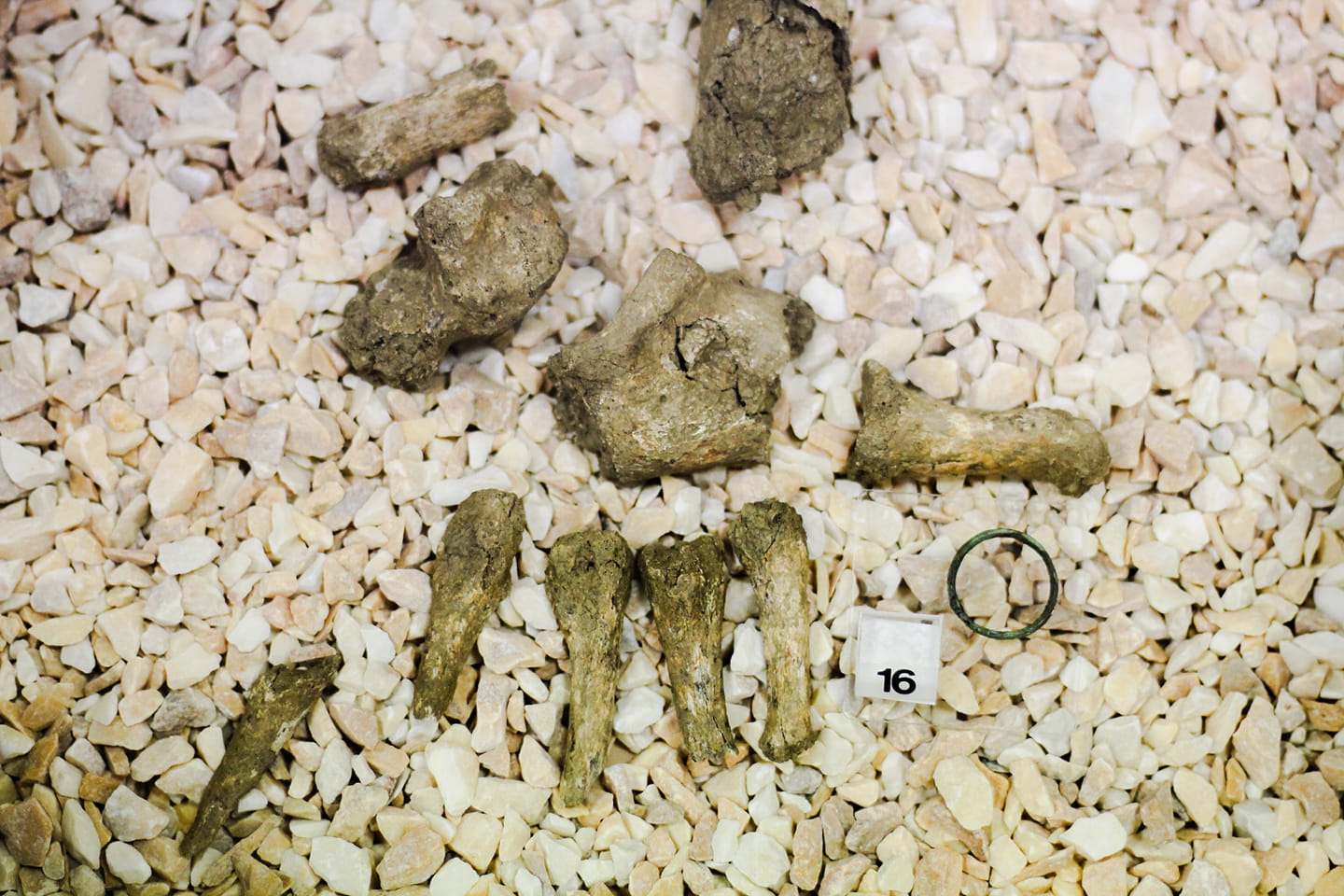 Museo Civico di Castel Bolognese