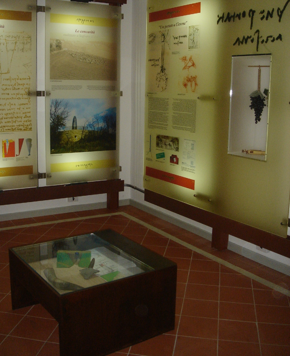 Museo Leonardo Da Vinci e la Romagna