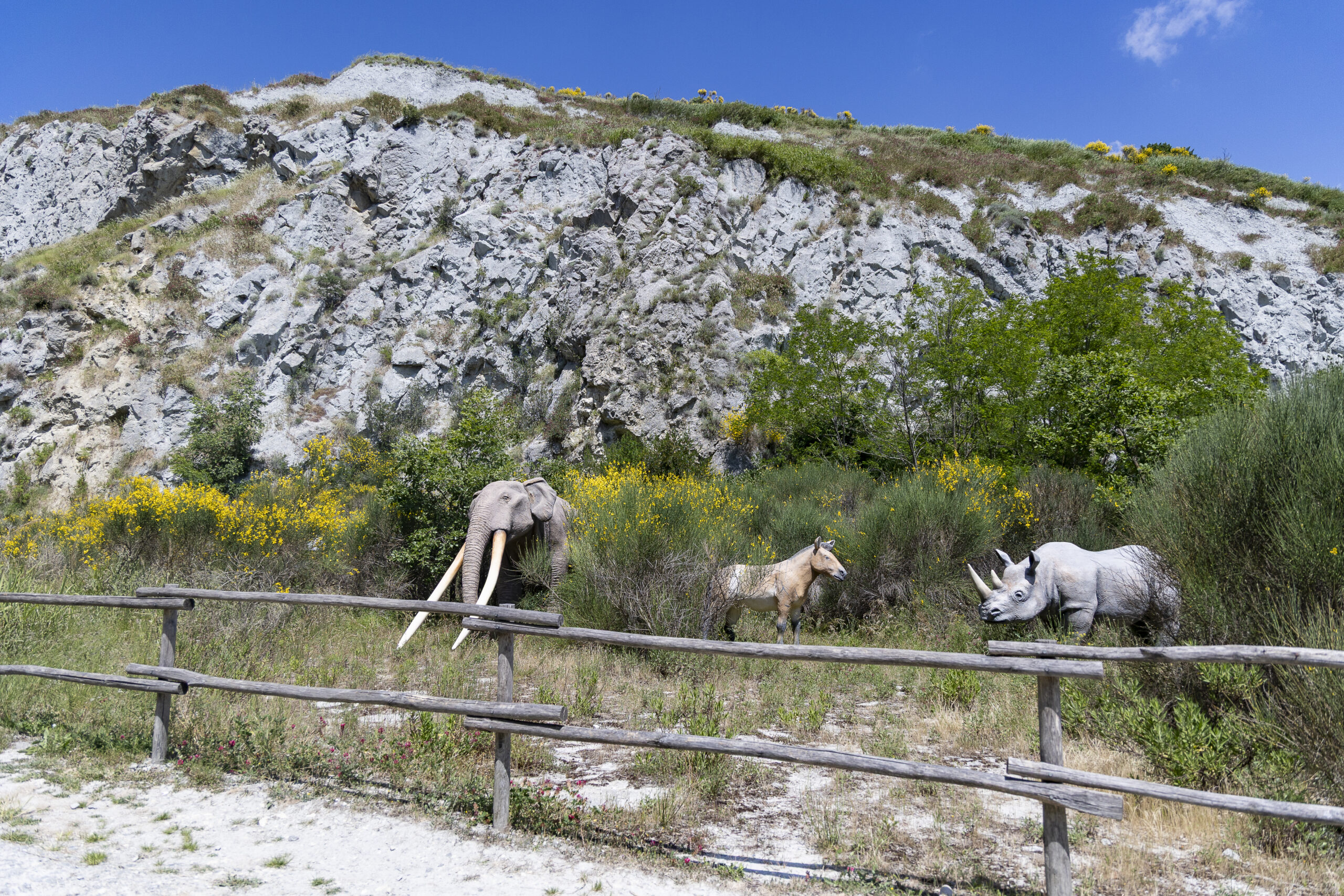 Museo geologico all’aperto “ex Cava Monticino”