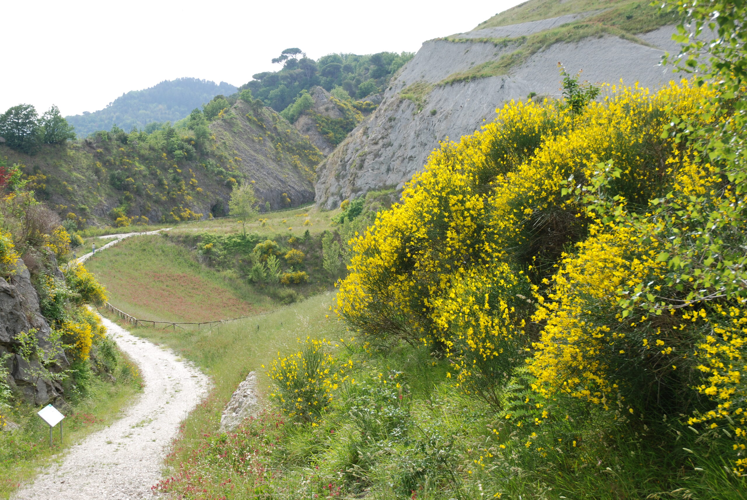 Nordic Walking Park