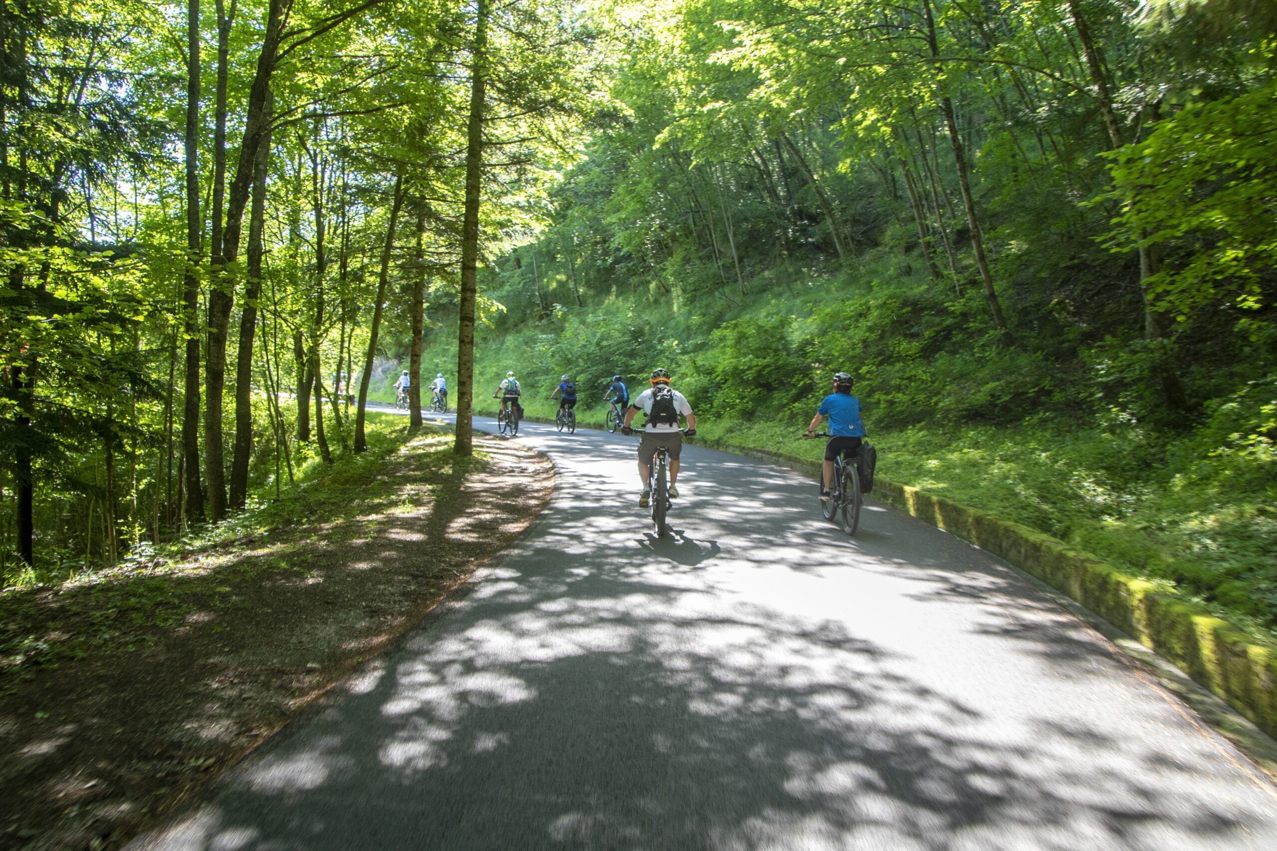 Percorso mtb: “Un facile percorso tra gli alberi del parco”
