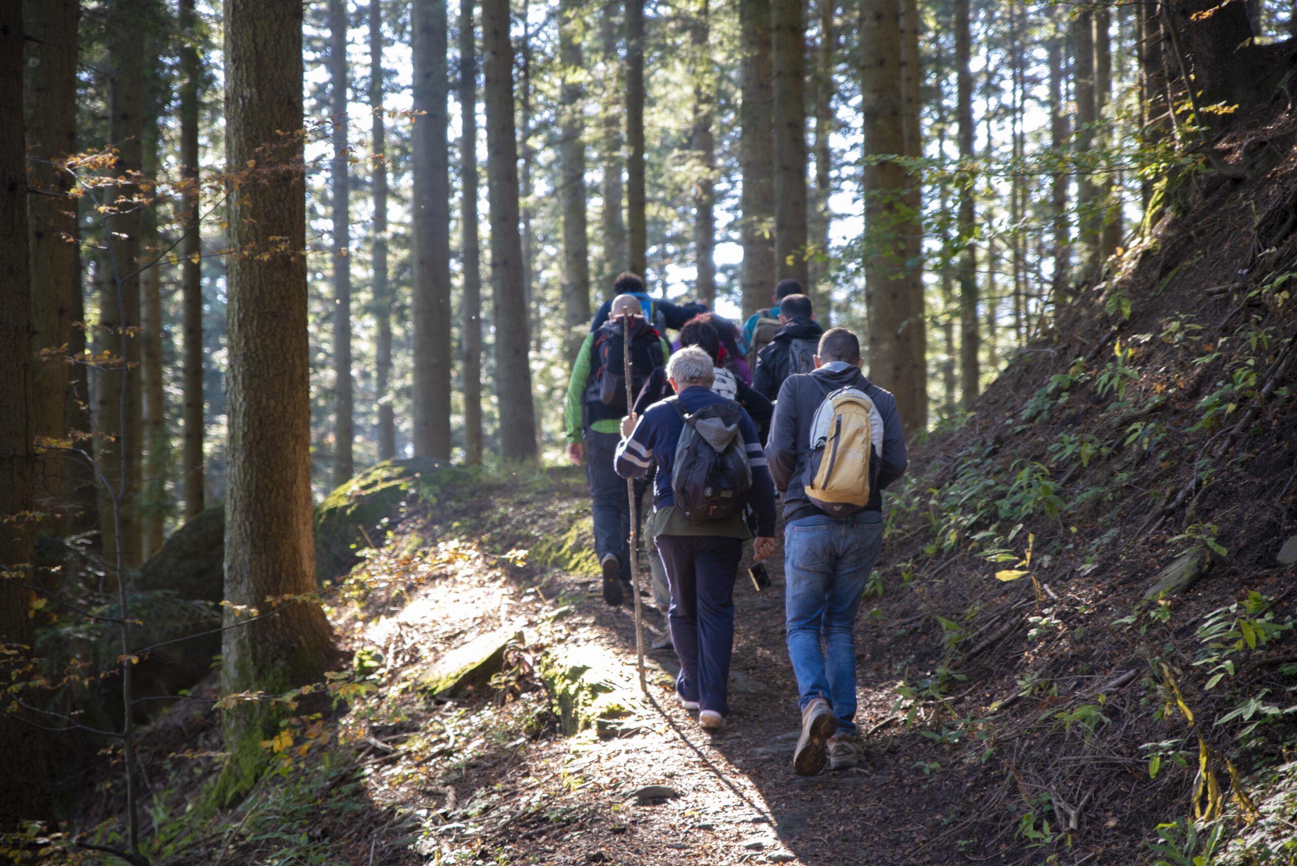 Trekking “Sentiero Natura Campigna”