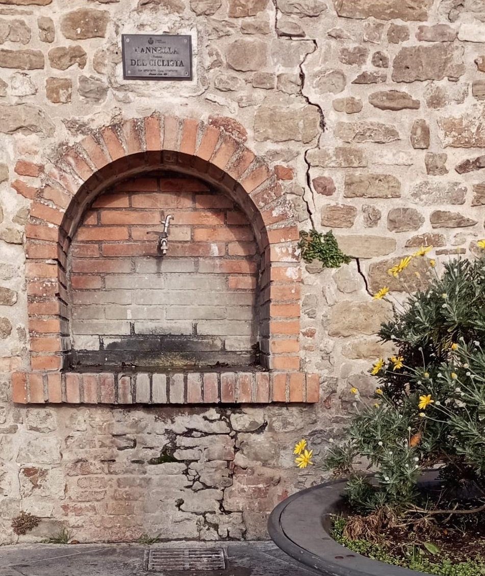 Cannella del ciclista