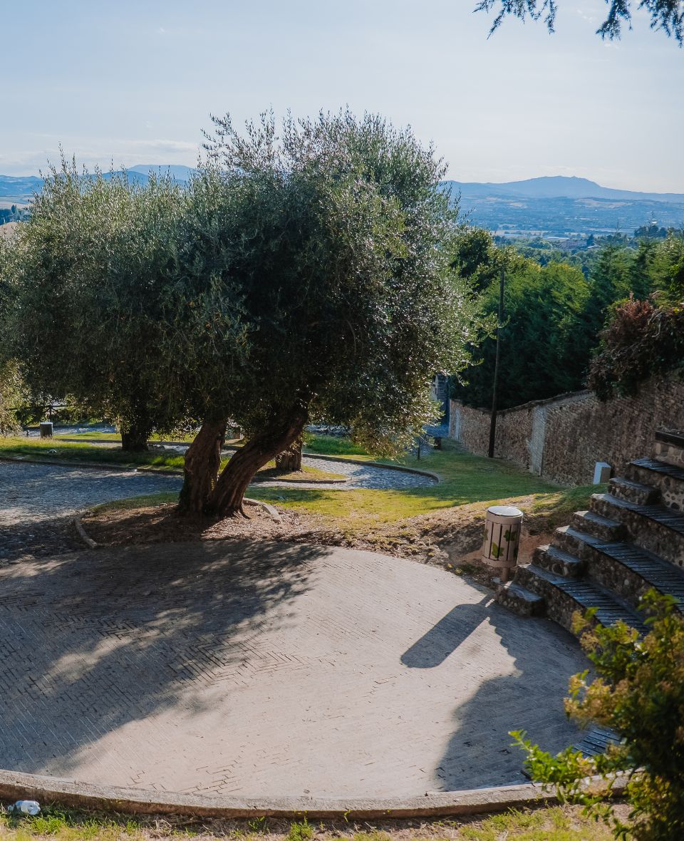 Giardino degli Ulivi – anfiteatro
