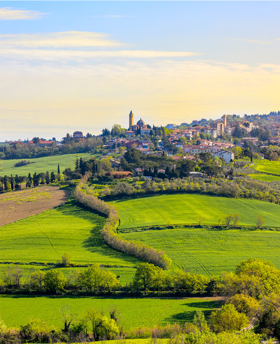 Panorami visti da Tavullia
