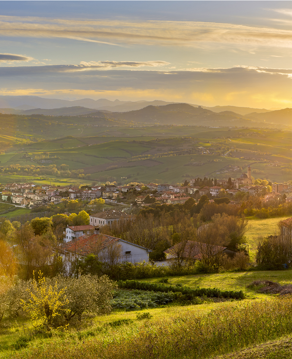 Sentieri di Tavullia