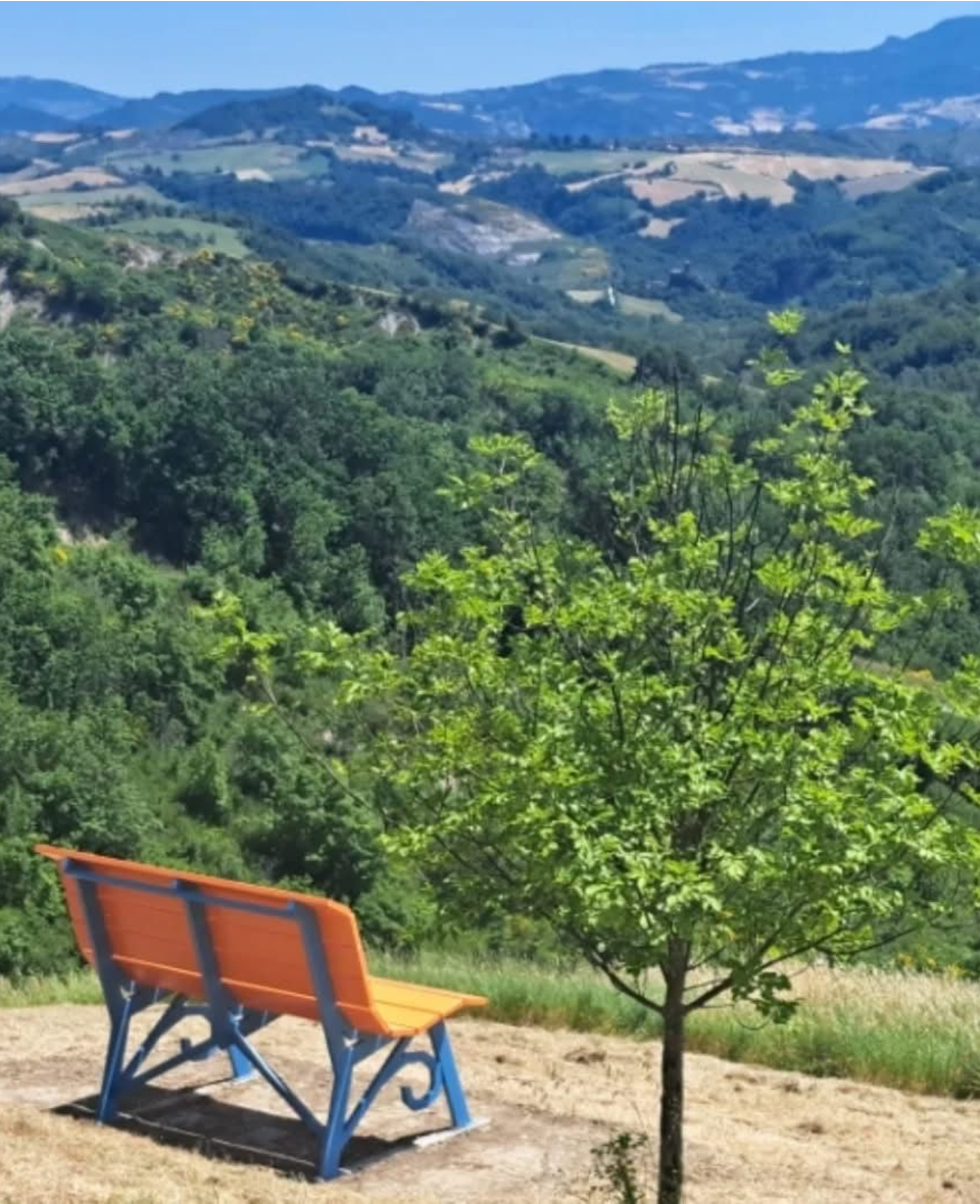Panchina Gigante Big Bench nr. 417 – Montegelli